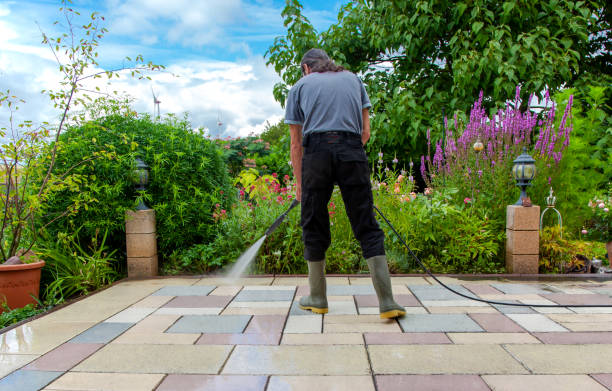 Best Driveway Pressure Washing  in Warm Springs, CA